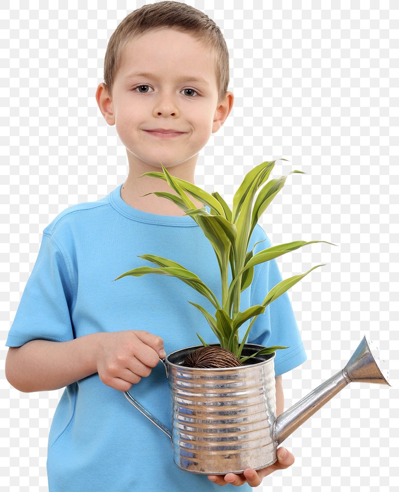 Flowerpot Stock Photography, PNG, 800x1012px, Flowerpot, Boy, Child, Flower, Garden Download Free