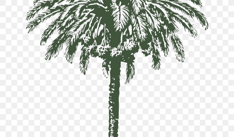Palm Trees Vector Graphics Date Palm Clip Art Image, PNG, 640x480px, Palm Trees, Arecales, Black And White, Borassus Flabellifer, Branch Download Free