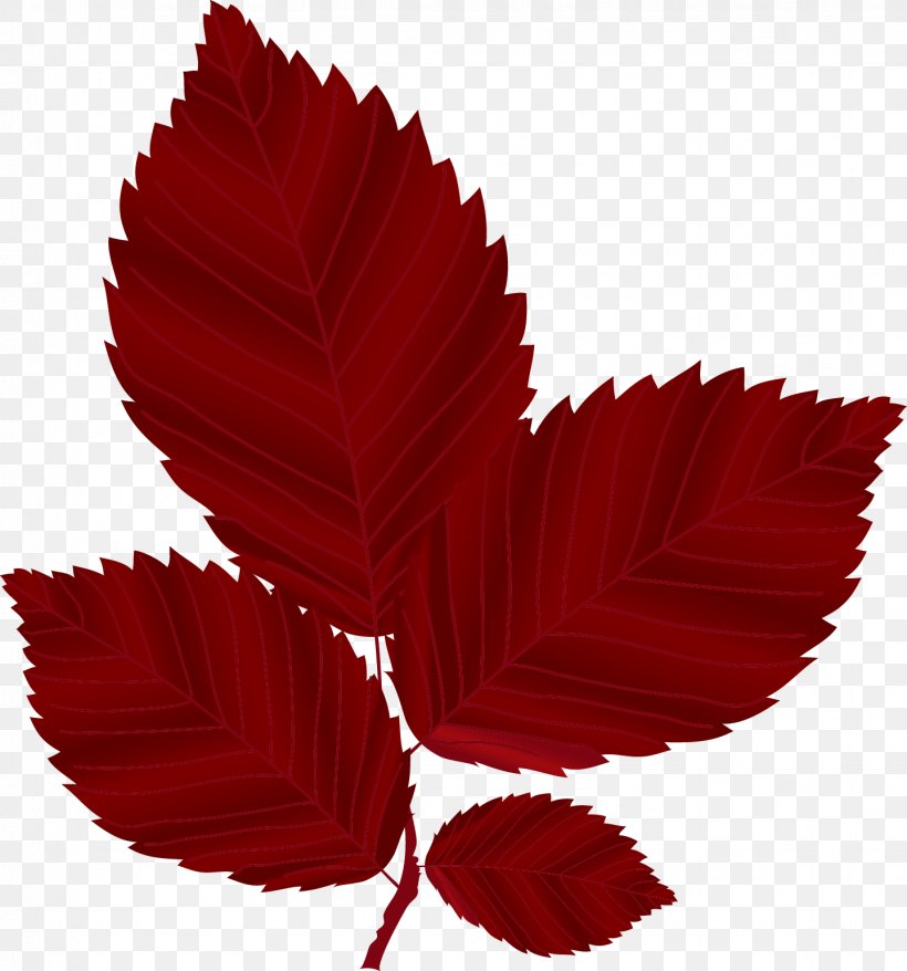 Red Leaf Autumn, PNG, 1438x1541px, Red, Autumn, Dwg, Flower, Leaf Download Free