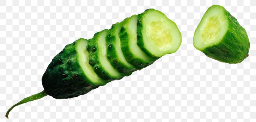 Cucumber Vegetable Cultivar Half Sour Pickles Salting, PNG, 800x391px, Cucumber, Brined Pickles, Cornichon, Cucumber Gourd And Melon Family, Cucumis Download Free