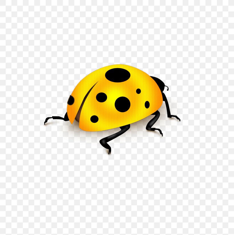 Download Computer File, PNG, 702x824px, Template, Apple, Arthropod, Beetle, Insect Download Free