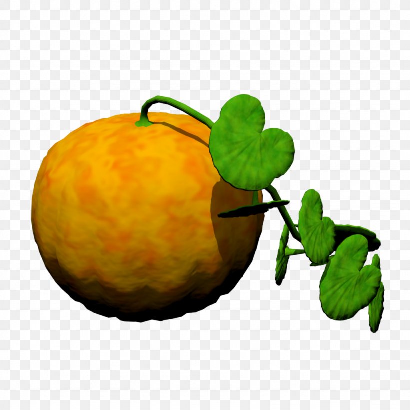 Gourd Winter Squash Cucurbita Natural Foods Citron, PNG, 1024x1024px, Gourd, Apple, Citron, Citrus, Cucumber Gourd And Melon Family Download Free