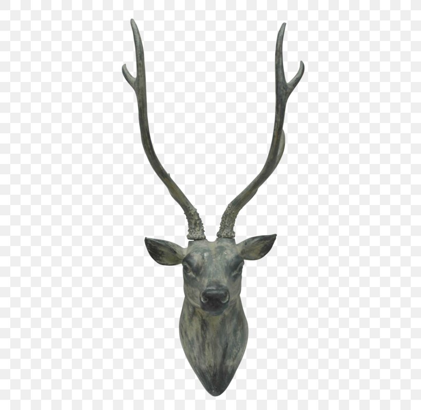 Reindeer Antelope Elk Horn Trophy Hunting, PNG, 800x800px, Reindeer, Animal, Antelope, Antler, Deer Download Free