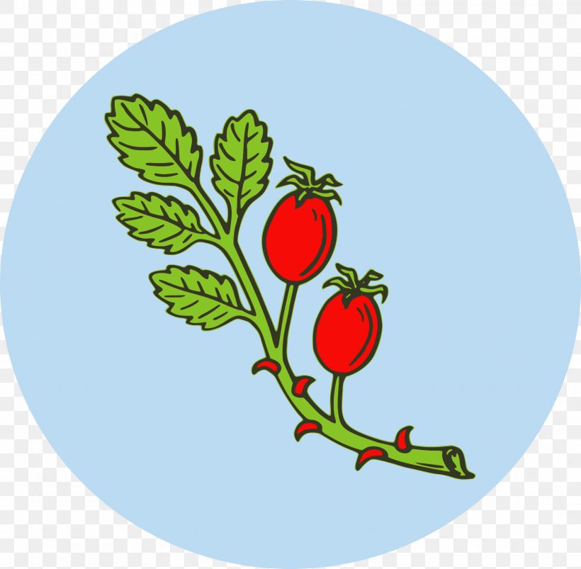 Rose Hip Tea Dog-rose Clip Art, PNG, 1920x1881px, Rose Hip, Artwork, Berry, Branch, Cucumber Download Free