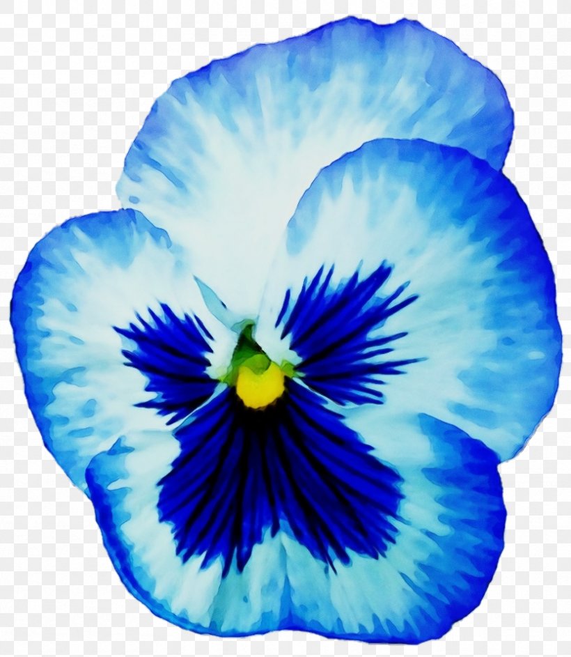 Blue Flower Petal Pansy Wild Pansy, PNG, 833x958px, Watercolor, Blue, Cobalt Blue, Flower, Paint Download Free