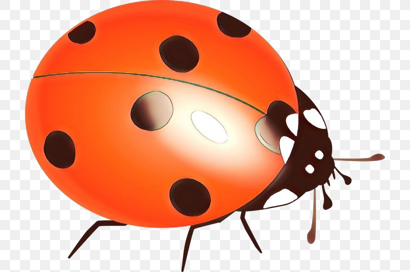 Clip Art Vector Graphics Free Content Transparency, PNG, 720x544px, Ladybird Beetle, Ball, Beetle, Cartoon, Drawing Download Free