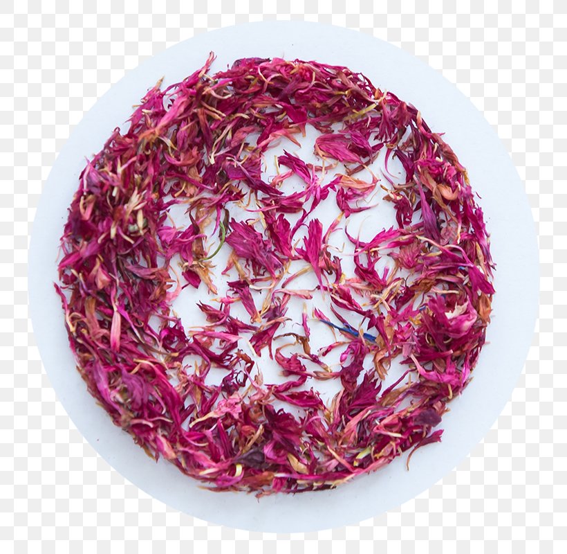 Flower Petal Tea Magenta Leaf, PNG, 800x800px, 6 Tea, Flower, Bud, Leaf, Lilium Download Free