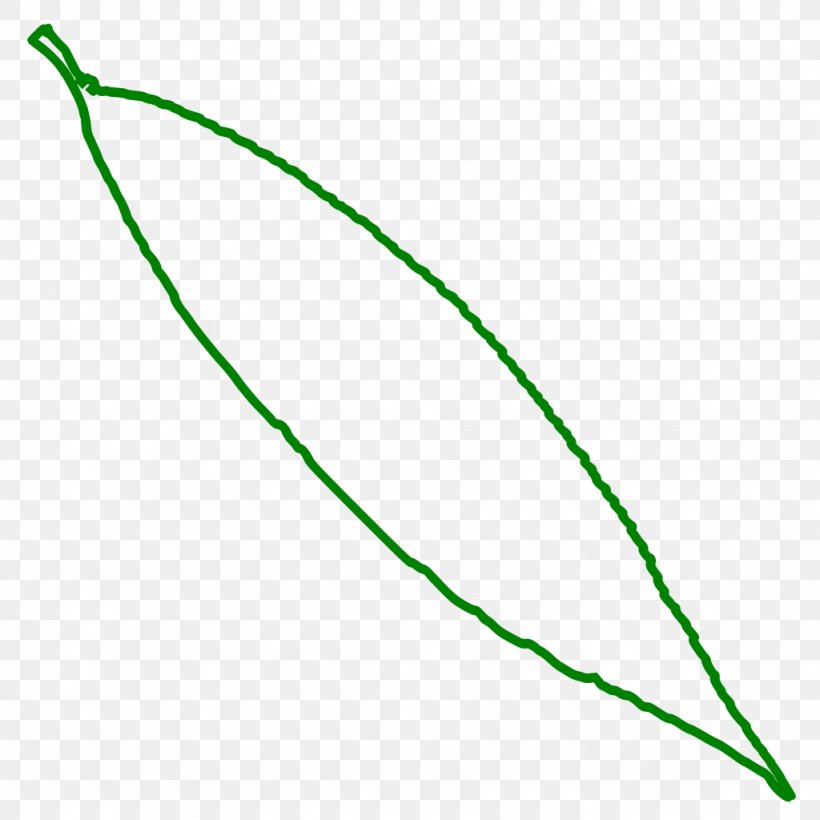 Leaf Line Point Angle Clip Art, PNG, 1024x1024px, Leaf, Grass, Green, Plant, Plant Stem Download Free