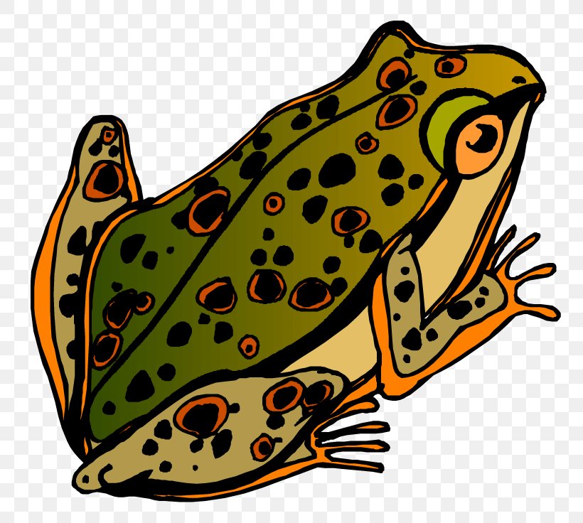 Toad Blog Clip Art, PNG, 792x736px, Toad, American Toad, Amphibian, Black And White, Blog Download Free
