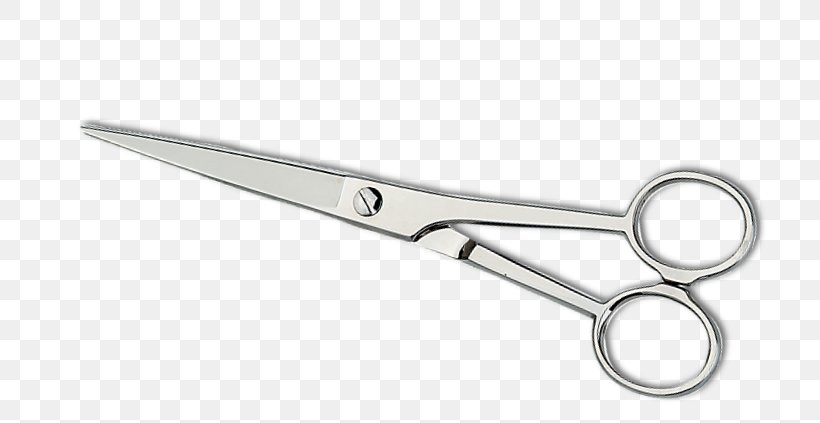 Coiffeur Bea Scissors Cosmetologist Hair-cutting Shears, PNG, 741x423px, Scissors, Cosmetics, Cosmetologist, Eyebrow, Hair Download Free