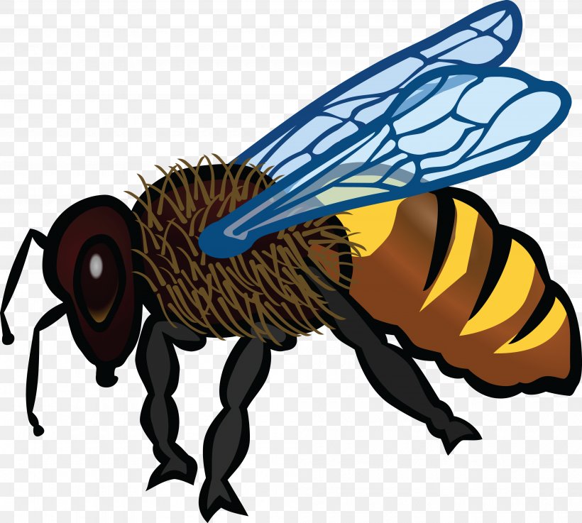 Honey Bee Coloring Book Clip Art, PNG, 4000x3599px, Bee, Arthropod, Artwork, Bumblebee, Color Download Free