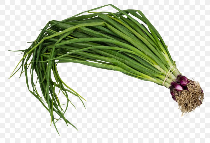 Scallion Vegetable Onion, PNG, 1628x1110px, Callaloo, Allium Fistulosum, Food, Garlic, Grass Download Free