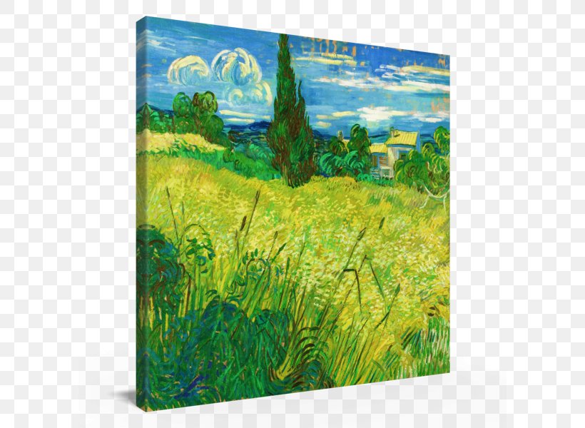 Watercolor Painting Green Wheat Field With Cypress Field With Green Wheat Wheat Fields, PNG, 600x600px, Painting, Acrylic Paint, Acrylic Resin, Art, Commodity Download Free