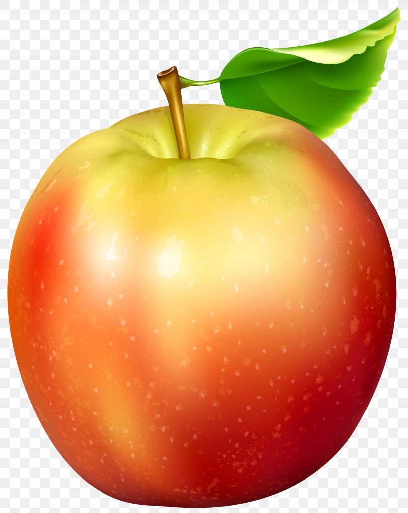 Apple Clip Art, PNG, 5565x7000px, Apple, Asian Pear, Diet Food, Food, Fruit Download Free
