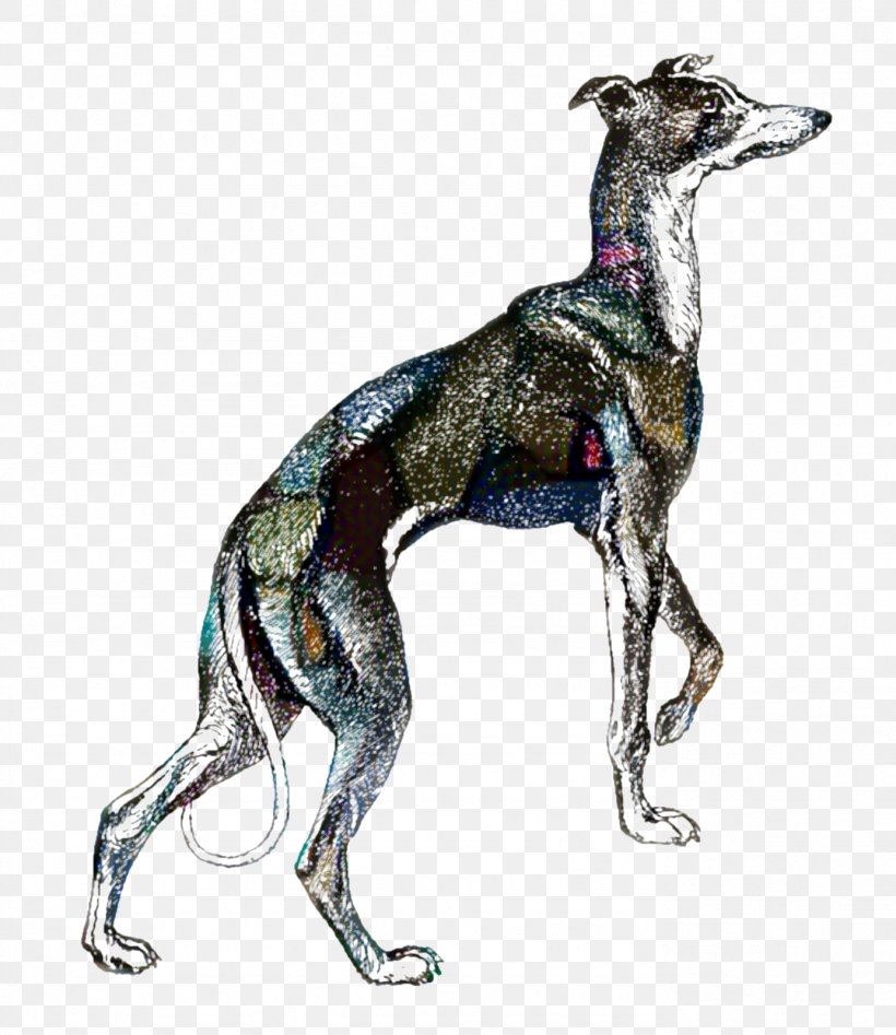 Cartoon Nature Background, PNG, 1384x1600px, Italian Greyhound, American Staghound, Ancient Dog Breeds, Bank, Capital Download Free