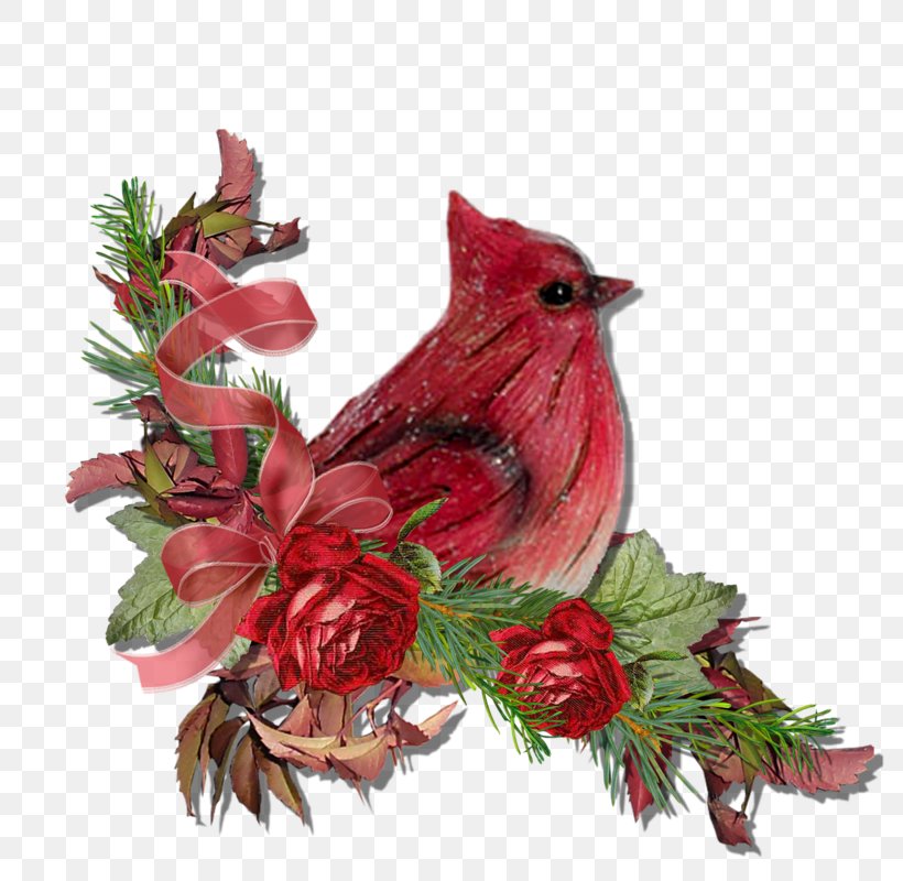 Christmas Ornament Cut Flowers Beak, PNG, 800x800px, Christmas Ornament, Beak, Bird, Cardinal, Christmas Download Free