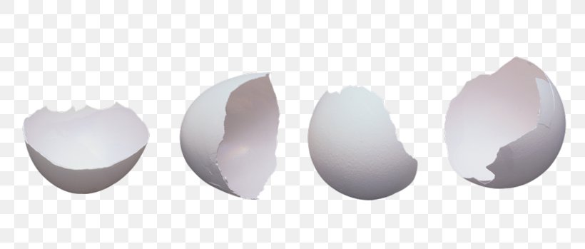 Fried Egg Image Eggshell Photography, PNG, 800x349px, 2018, Egg, Dish, Drawing, Eggshell Download Free