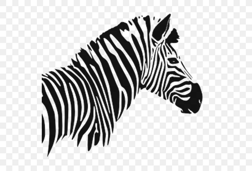Quagga Zebra Image Zebre Rugby Club Graphics, PNG, 547x558px, Quagga, Animal, Animal Figure, Bar, Blackandwhite Download Free