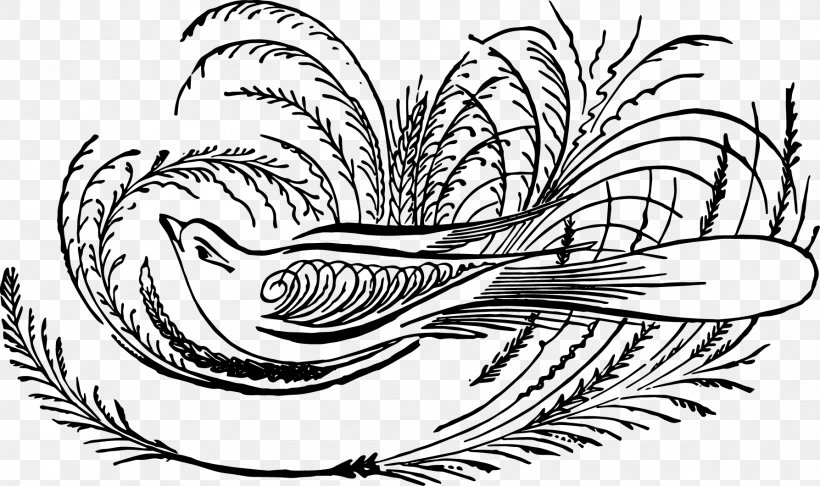 Art Drawing Calligraphy Illustration Design, PNG, 1787x1060px, Art, Bird, Blackandwhite, Botany, Calligraphy Download Free