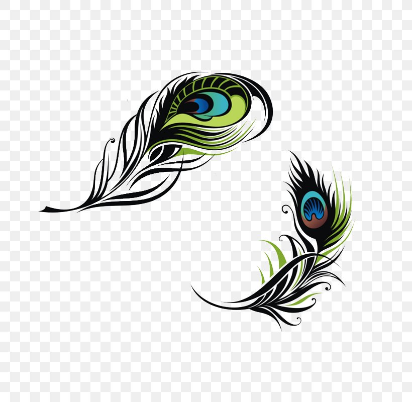 Bird Feather Peafowl Euclidean Vector, PNG, 800x800px, Bird, Color, Drawing, Feather, Material Download Free