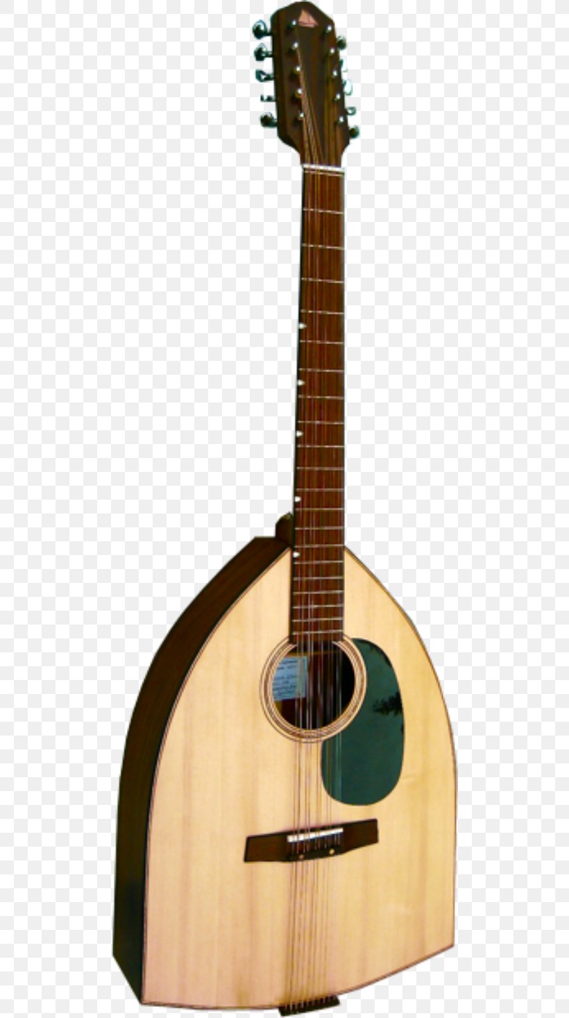 Martin D-28 C. F. Martin & Company Acoustic Guitar Dreadnought, PNG, 500x1467px, Martin D28, Acoustic Electric Guitar, Acoustic Guitar, Acousticelectric Guitar, Banjo Guitar Download Free