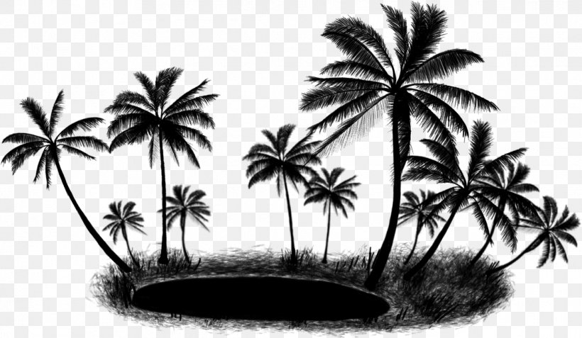 Asian Palmyra Palm Palm Trees Coconut Clip Art, PNG, 1112x647px, Asian Palmyra Palm, Arecales, Art, Attalea Speciosa, Blackandwhite Download Free