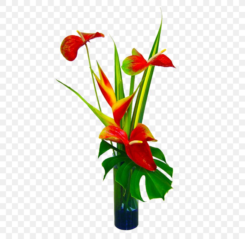 Hawaii Flower Bouquet Floristry Clip Art, PNG, 800x800px, Hawaii, Amaryllis Belladonna, Amaryllis Family, Artificial Flower, Cut Flowers Download Free