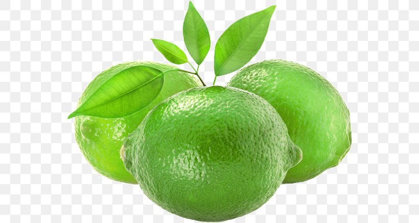 Persian Lime Lemon Lime Juice Fruit, PNG, 558x436px, Lime, Bitter Orange, Calamondin, Citric Acid, Citron Download Free