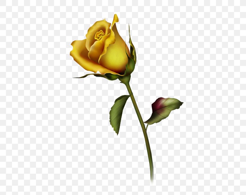 Rose Clip Art, PNG, 750x651px, Rose, Art, Bud, Computer, Cut Flowers Download Free