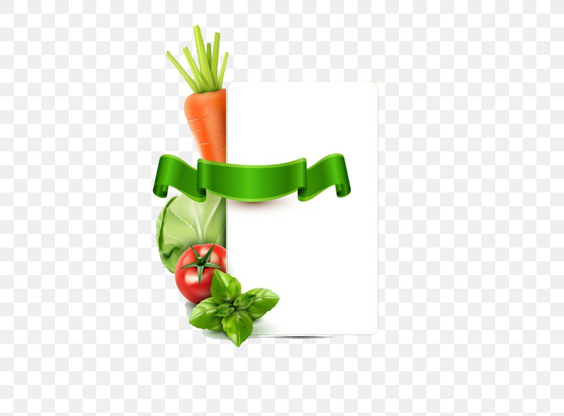 Vegetable Euclidean Vector Illustration, PNG, 499x605px, Vegetable, Carrot, Flowerpot, Food, Fruit Download Free