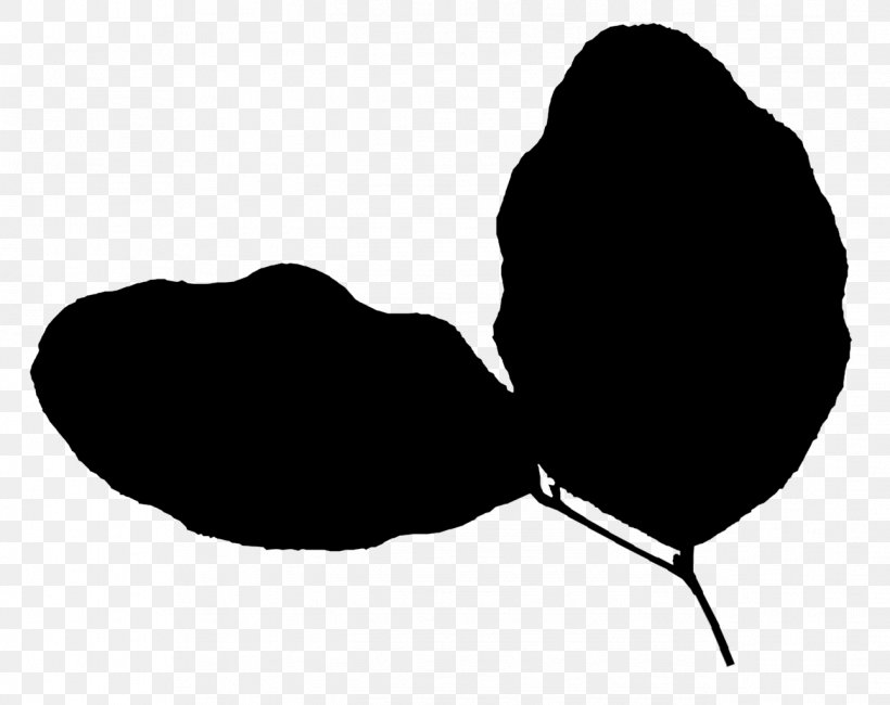 Black & White, PNG, 1292x1025px, Black White M, Black, Black M, Blackandwhite, Herbaceous Plant Download Free