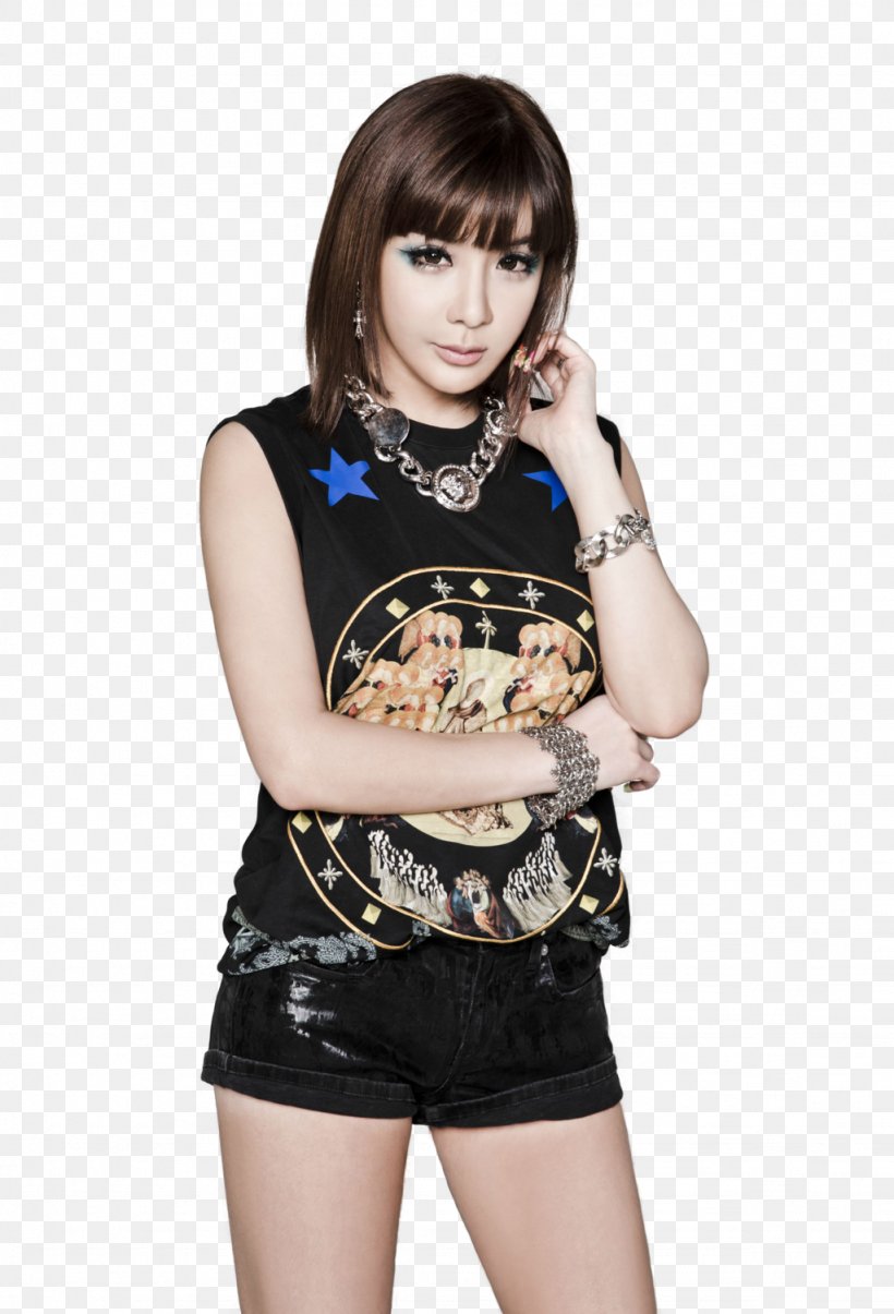 Park Bom 2NE1 K-pop Allkpop YG Entertainment, PNG, 1024x1505px, Watercolor, Cartoon, Flower, Frame, Heart Download Free