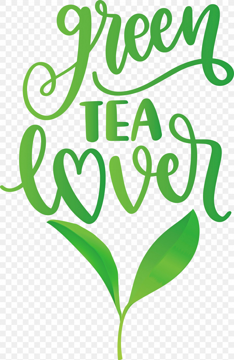Green Tea Lover Tea, PNG, 1947x3000px, Tea, Flower, Happiness, Leaf, Line Download Free