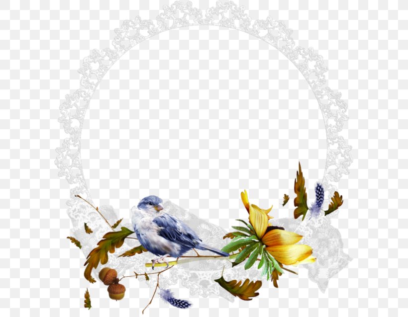 Bird Parrot Budgerigar Clip Art, PNG, 601x638px, Bird, Bird Migration, Bird Nest, Blue Jay, Bluebird Download Free