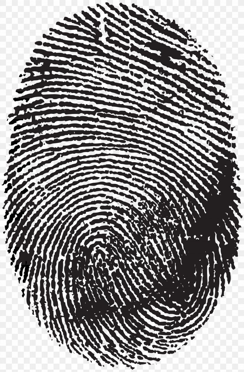 Fingerprint Image Scanner Clip Art, PNG, 4597x7000px, Fingerprint, Automotive Tire, Biometrics, Black And White, Dna Profiling