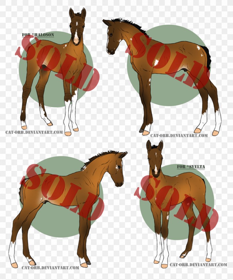 Foal Mule Mare Stallion Mustang, PNG, 1024x1228px, Foal, Animal, Bridle, Colt, Donkey Download Free