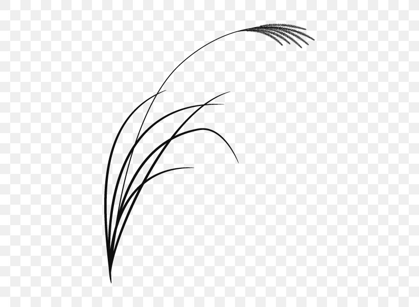 Font Feather Eyebrow Beak Line Art, PNG, 600x600px, Feather, Beak, Bird, Black, Black And White Download Free