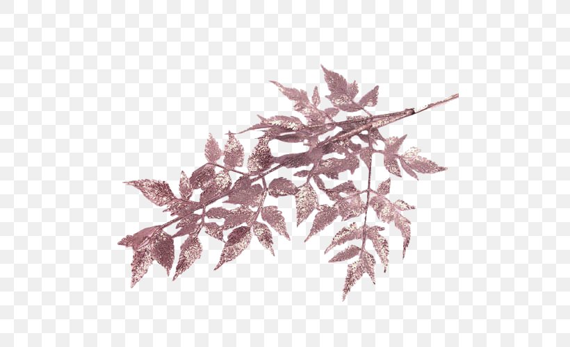Twig Leaf Deciduous, PNG, 500x500px, Twig, Branch, Deciduous, Drawing, Fiber Download Free