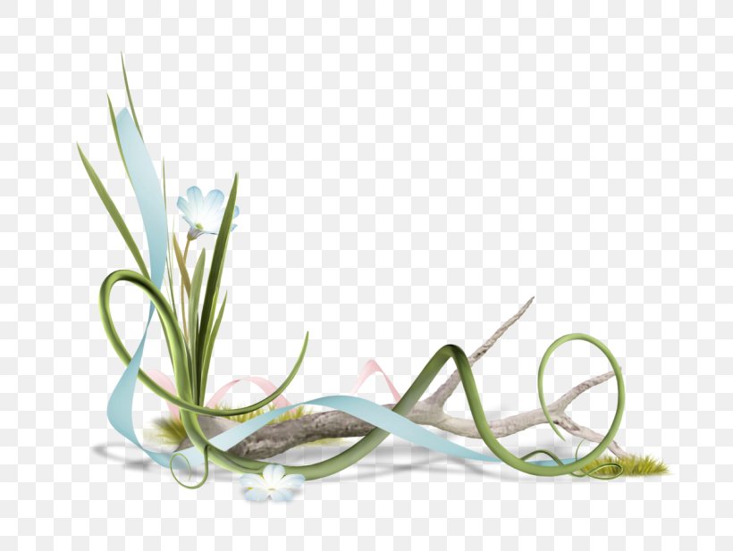 Lily Of The Valley Photography Image Labour Day Clip Art, PNG, 800x617px, Lily Of The Valley, Art, Botany, Chives, Drawing Download Free