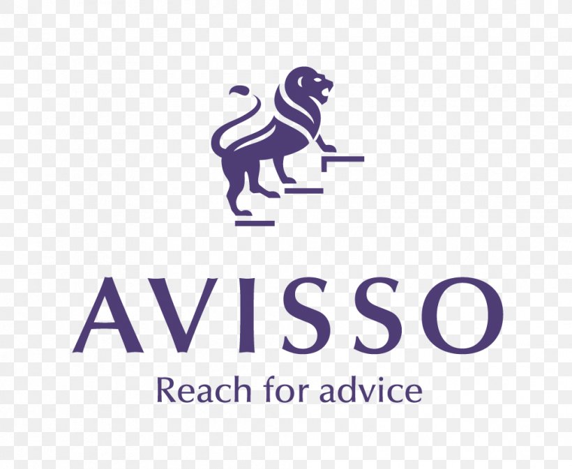 Avisso Grup Business Afacere Management, PNG, 1008x828px, Business, Accounting, Afacere, Area, Brand Download Free