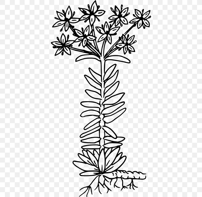 Clip Art, PNG, 408x800px, Web Design, Black And White, Branch, Flora, Flower Download Free