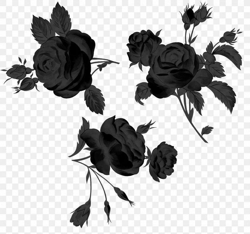 Garden Roses Cut Flowers Petal Leaf, PNG, 1758x1642px, Garden Roses, Artificial Flower, Black, Black M, Blackandwhite Download Free