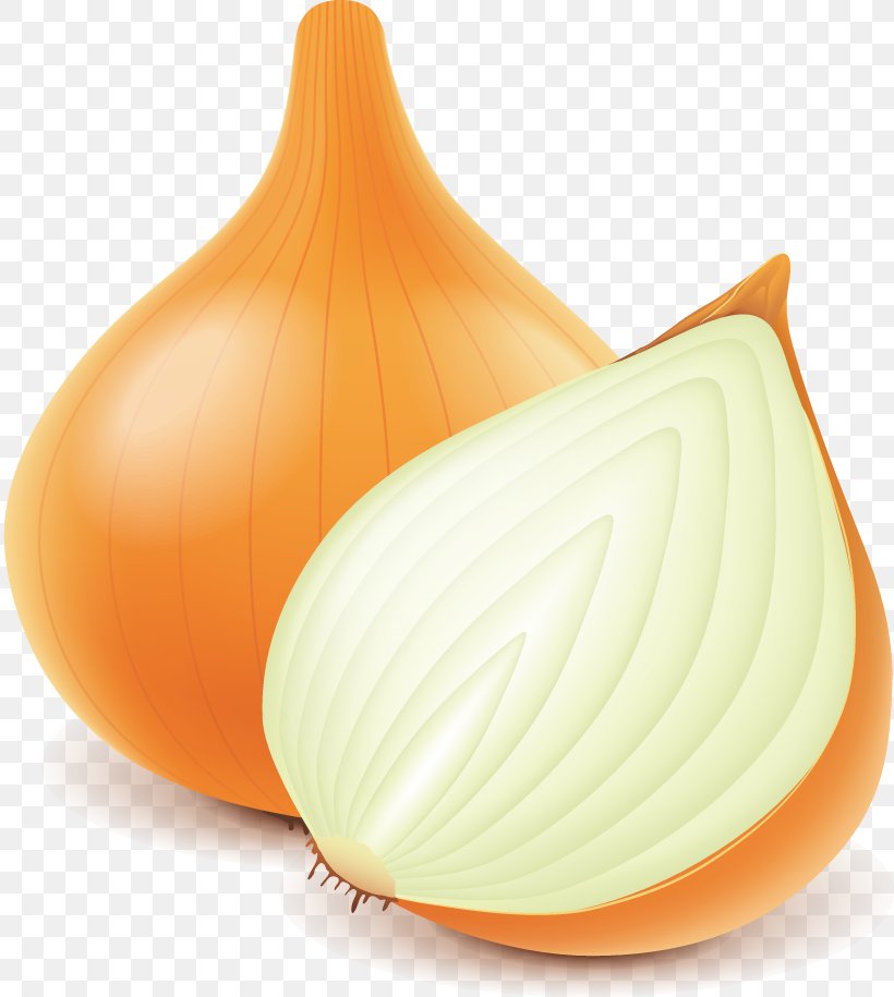 Onion Euclidean Vector, PNG, 820x915px, Onion, Food, Fruit, Garlic, Ingredient Download Free