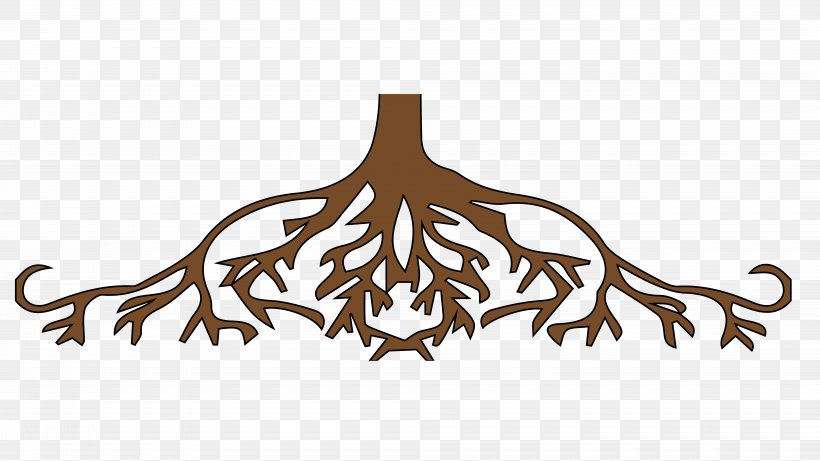 United States Root Tree Clip Art, PNG, 8000x4500px, United States, Animation, Branch, Drawing, Family Download Free