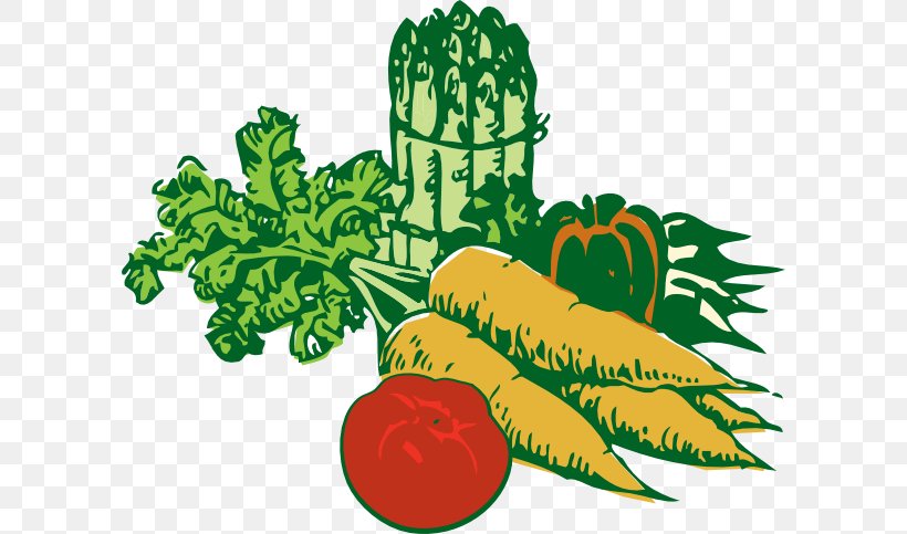 Veggie Burger Leaf Vegetable Fruit Clip Art, PNG, 600x483px, Veggie Burger, Broccoli, Cabbage, Carrot, Collard Greens Download Free