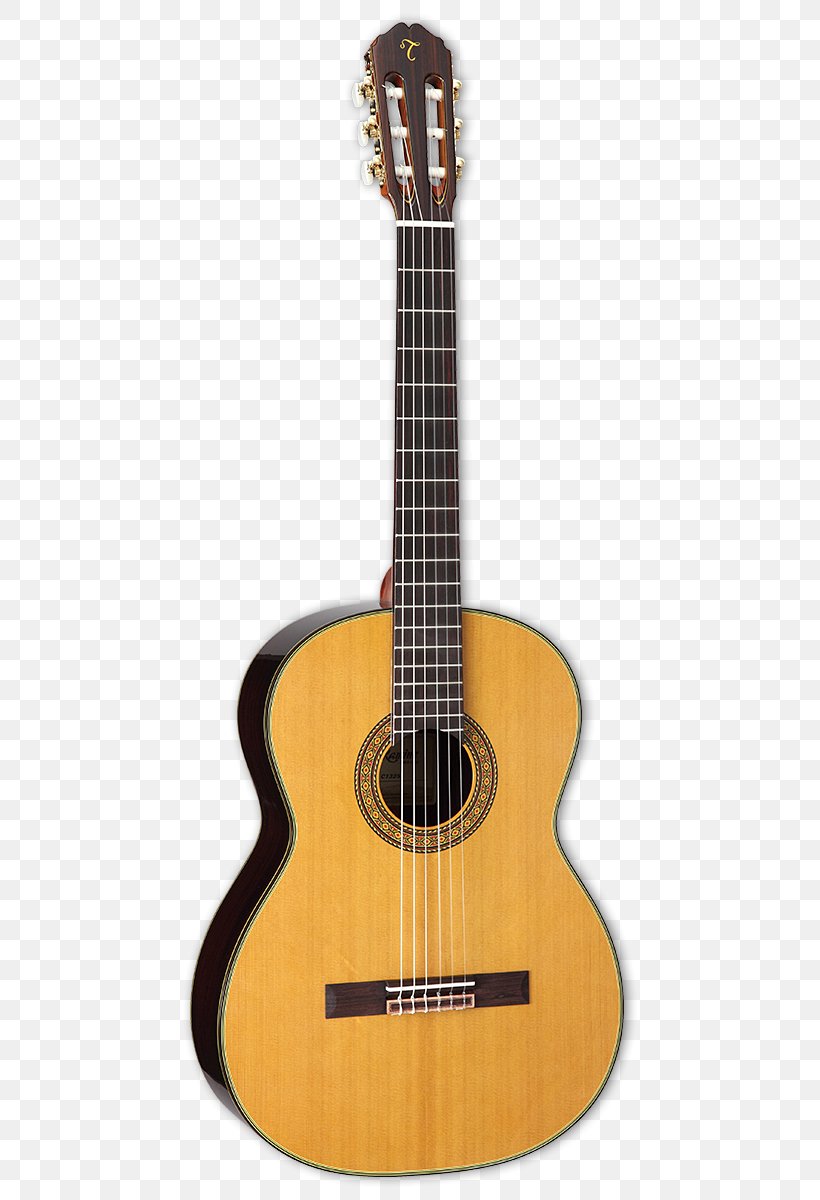 Classical Guitar Steel-string Acoustic Guitar Alhambra, PNG, 480x1200px, Classical Guitar, Acoustic Electric Guitar, Acoustic Guitar, Acousticelectric Guitar, Alhambra Download Free
