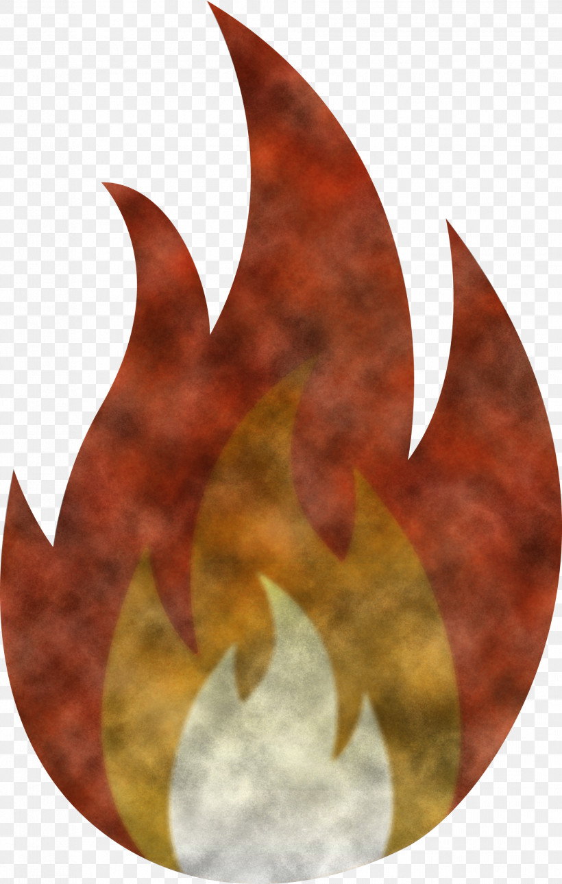 Flame Fire, PNG, 1908x3000px, Flame, Biology, Fire, Leaf, Plant Structure Download Free