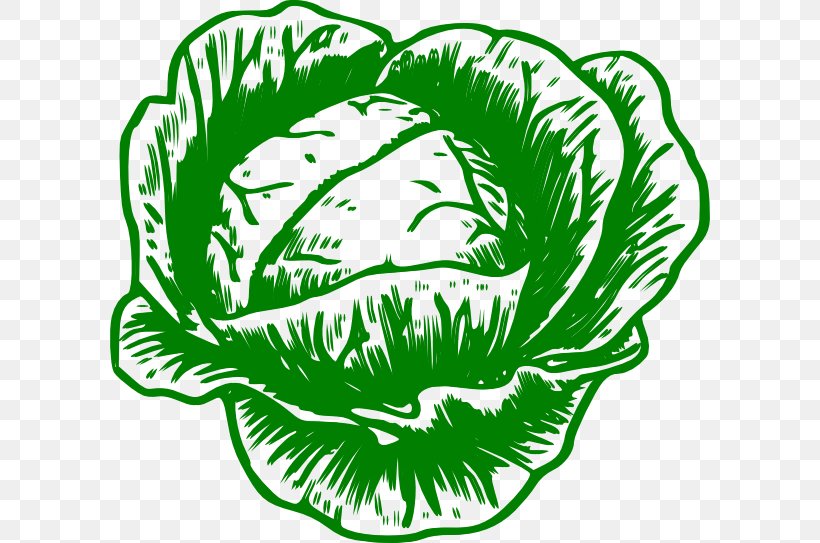Savoy Cabbage Cauliflower Broccoli Clip Art, PNG, 600x543px, Cabbage, Artwork, Black And White, Brassica Oleracea, Broccoli Download Free