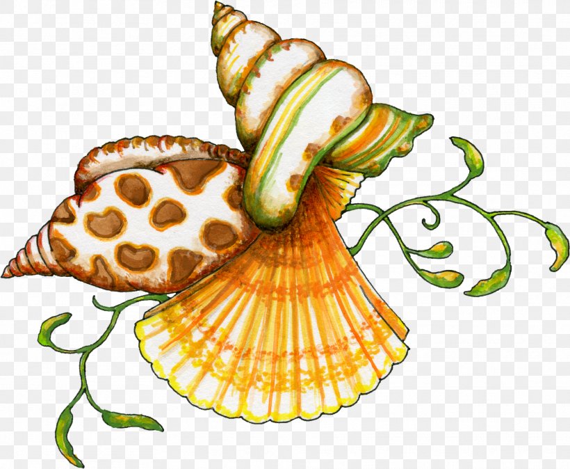 Seashell Free Content Clip Art, PNG, 1873x1541px, Seashell, Beach, Drawing, Food, Free Content Download Free