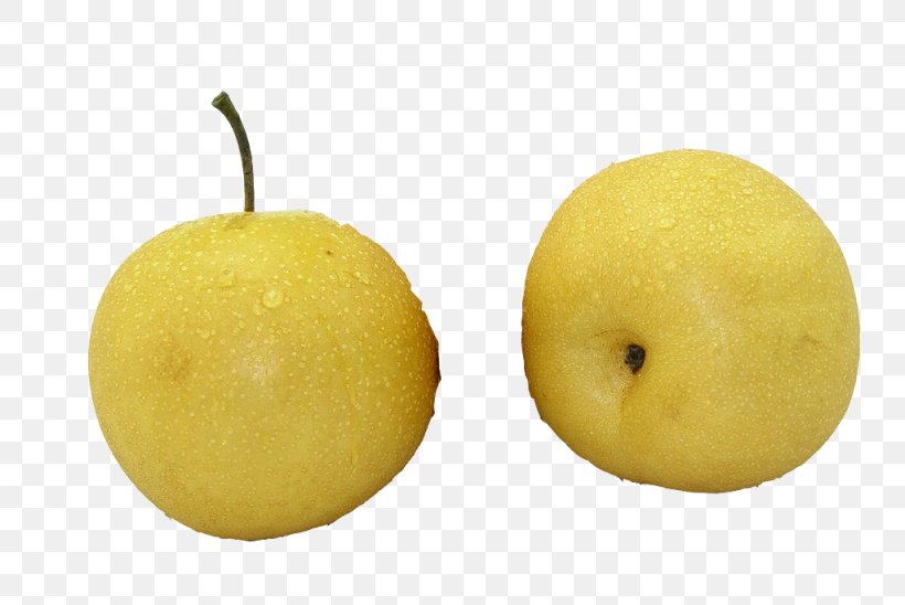 Sweet Lemon Citron Citrus Junos Asian Pear, PNG, 1024x685px, Lemon, Apple, Asian Pear, Citron, Citrus Download Free